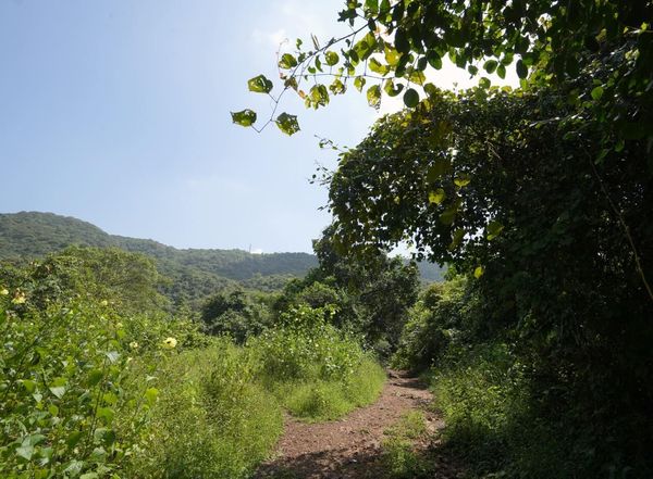 Villa Verdant